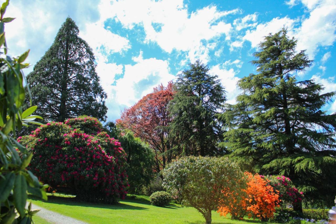 Parque Del Lodge *